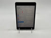 Apple 2019 iPad Mini 5 256GB (Wifi Only) Space Gray